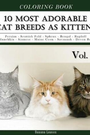 Cover of 10 Most Adorable Cat Breeds As Kittens-Animal Coloring Book included Persian - Scottish Fold - Sphynx - Bengal - Ragdoll - Munchkin - Siamese - Maine Coon - Savannah - Devon Rex