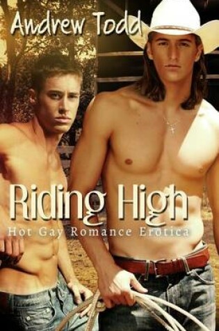 Cover of Riding High