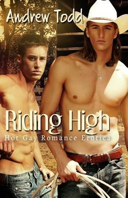 Book cover for Riding High