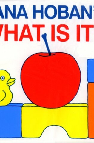 Cover of What Is It? Board Book