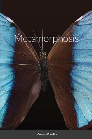 Cover of Metamorphosis