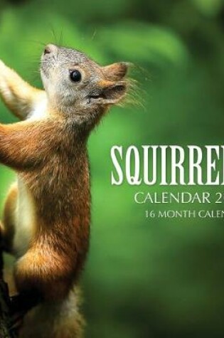 Cover of Squirrels Calendar 2020