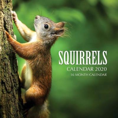 Book cover for Squirrels Calendar 2020