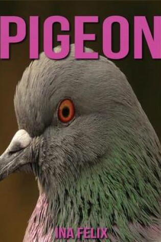 Cover of Pigeon