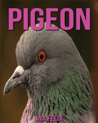 Book cover for Pigeon