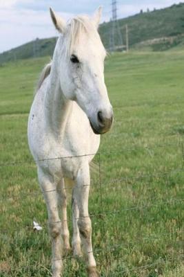 Book cover for Equine Journal Lone White Horse