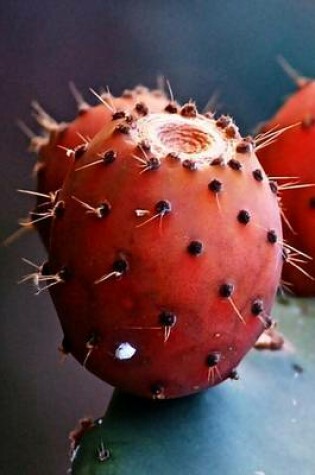 Cover of Prickly Pear Cactus Fruit Journal