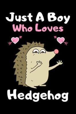 Book cover for Just a boy who loves hedgehog