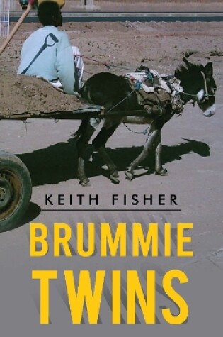 Cover of Brummie Twins