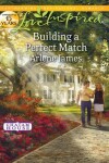 Book cover for Building A Perfect Match