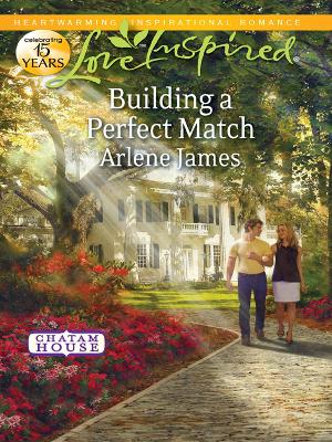 Book cover for Building A Perfect Match