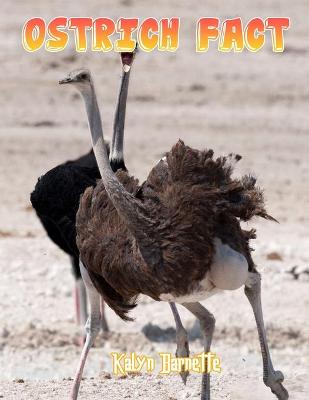 Book cover for Ostrich Fact