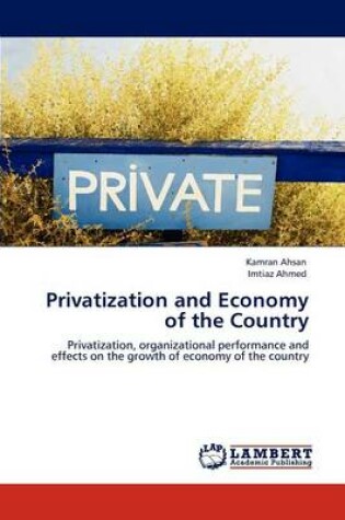 Cover of Privatization and Economy of the Country