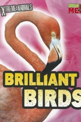 Cover of Brilliant Birds (Extreme Animals)