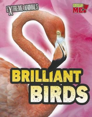Book cover for Brilliant Birds (Extreme Animals)
