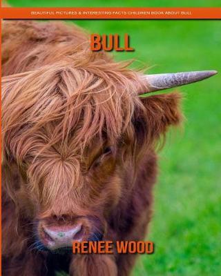 Book cover for Bull