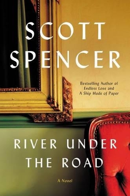 Book cover for River Under the Road