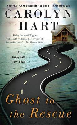 Book cover for Ghost To The Rescue