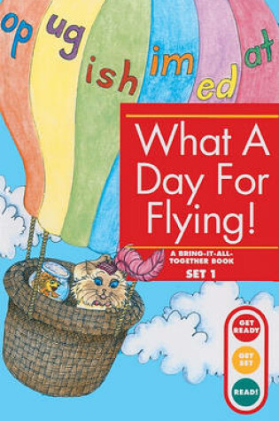 Cover of What a Day for Flying