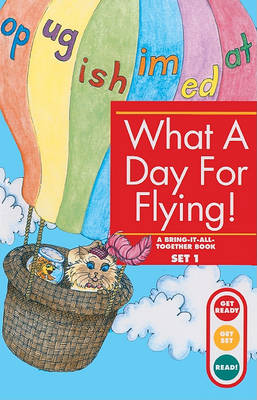 Book cover for What a Day for Flying