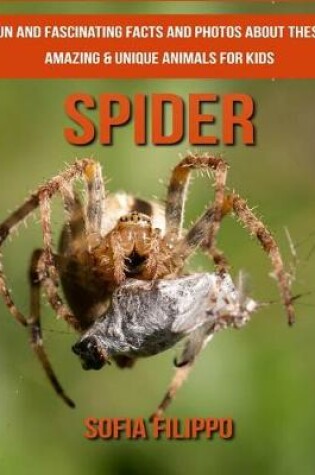 Cover of Spider