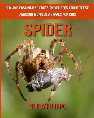 Book cover for Spider