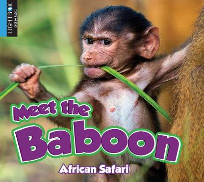 Book cover for Meet the Baboon