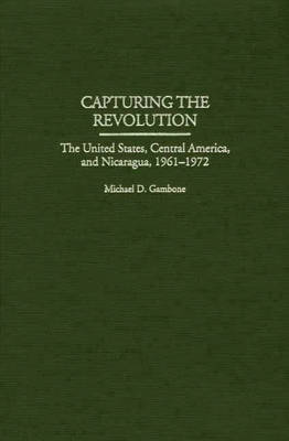 Book cover for Capturing the Revolution