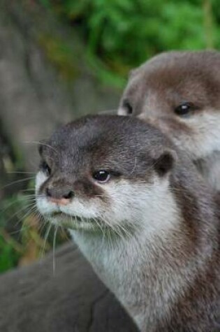 Cover of Otter Animal Journal