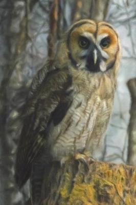 Book cover for Owl In The Wood - Lined Notebook with Margins