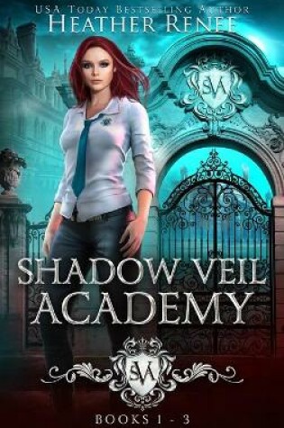 Cover of Shadow Veil Academy