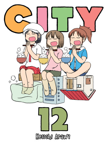 Book cover for City 12