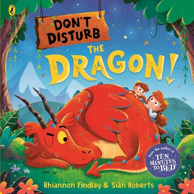 Book cover for Don't Disturb the Dragon