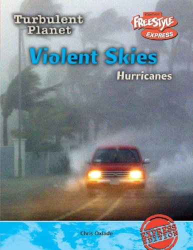 Cover of Violent Skies