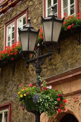 Book cover for Website Password Organizer Flower Decorated Lantern in Holland