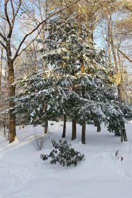 Book cover for Winter Weather Journal Sun Shadows Evergreen