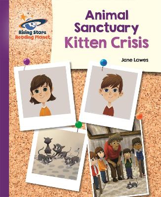 Book cover for Reading Planet - Animal Sanctuary Kitten Crisis - Purple: Galaxy