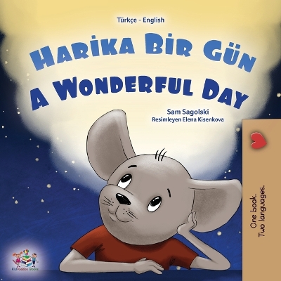 Book cover for A Wonderful Day (Turkish English Bilingual Book for Kids)