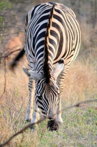 Cover of Zebra in Kruger Park South Africa Journal