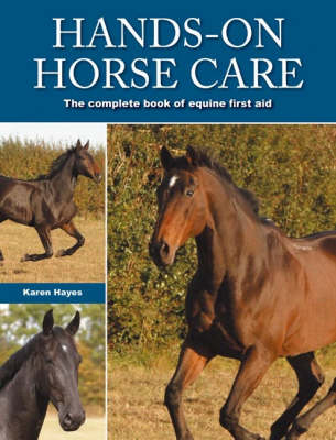 Book cover for Hands-on Horse Care