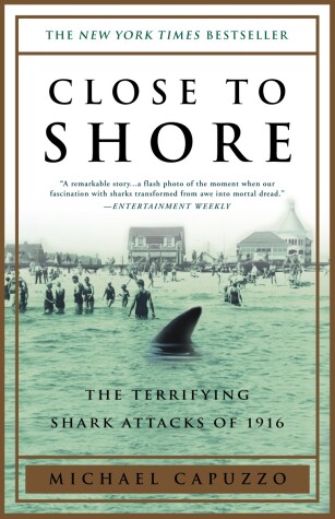 Book cover for Close to Shore