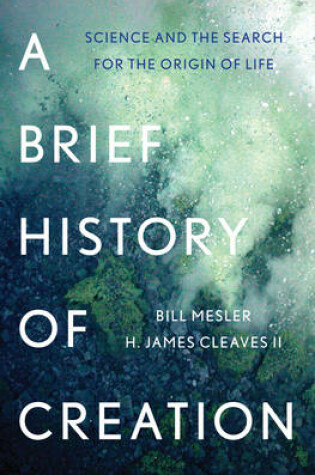 Cover of A Brief History of Creation