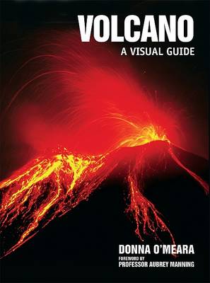 Book cover for Volcano