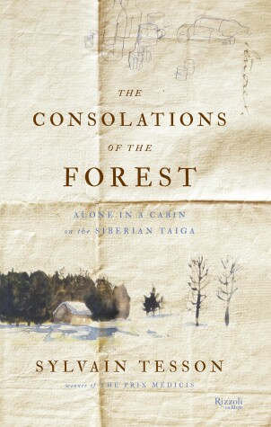 Book cover for The Consolations of the Forest