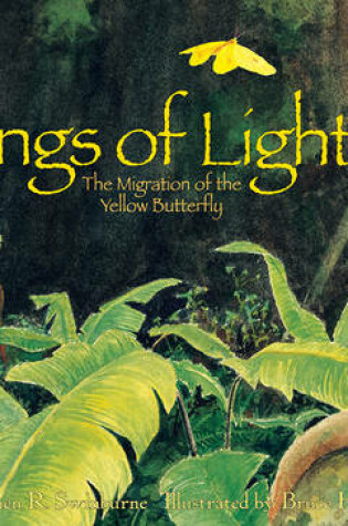 Cover of Wings of Light