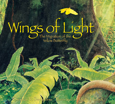 Book cover for Wings of Light