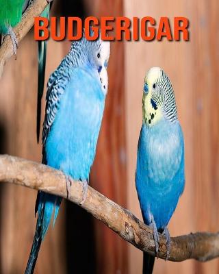 Book cover for Budgerigar