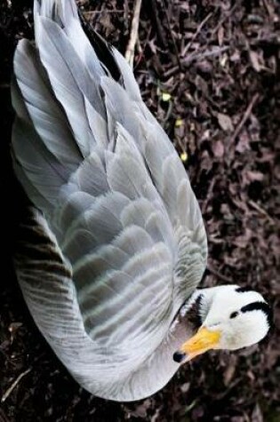 Cover of Bar Headed Goose Resting on Shore Journal