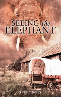 Book cover for Seeing the Elephant