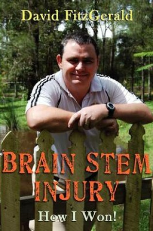 Cover of Brain Stem Injury